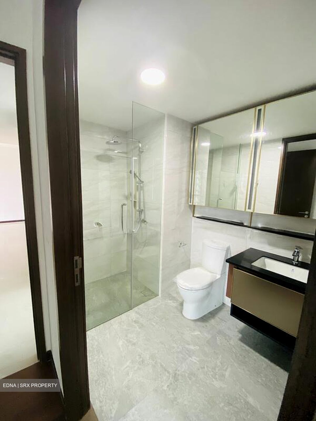Normanton Park (D5), Apartment #544412091